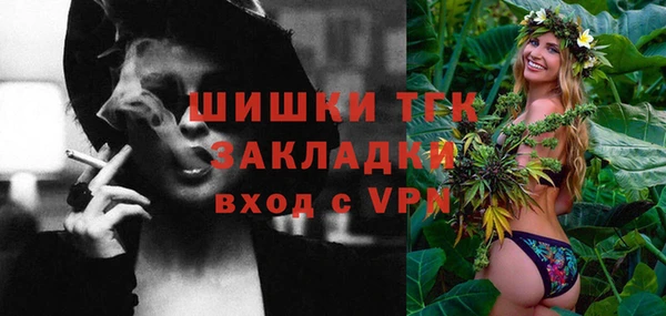 гидропоника Гусиноозёрск