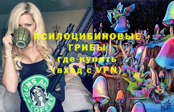 кристаллы Гусев
