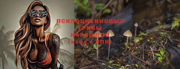 гидропоника Гусиноозёрск