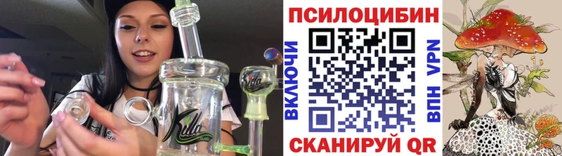 где продают наркотики  omg tor  Псилоцибиновые грибы мухоморы  Похвистнево 