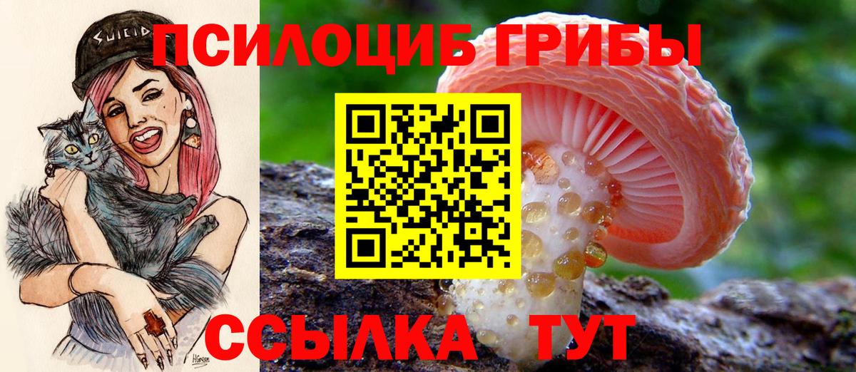 Похвистнево  Псилоцибиновые грибы Psilocybe  Вход с VPN 