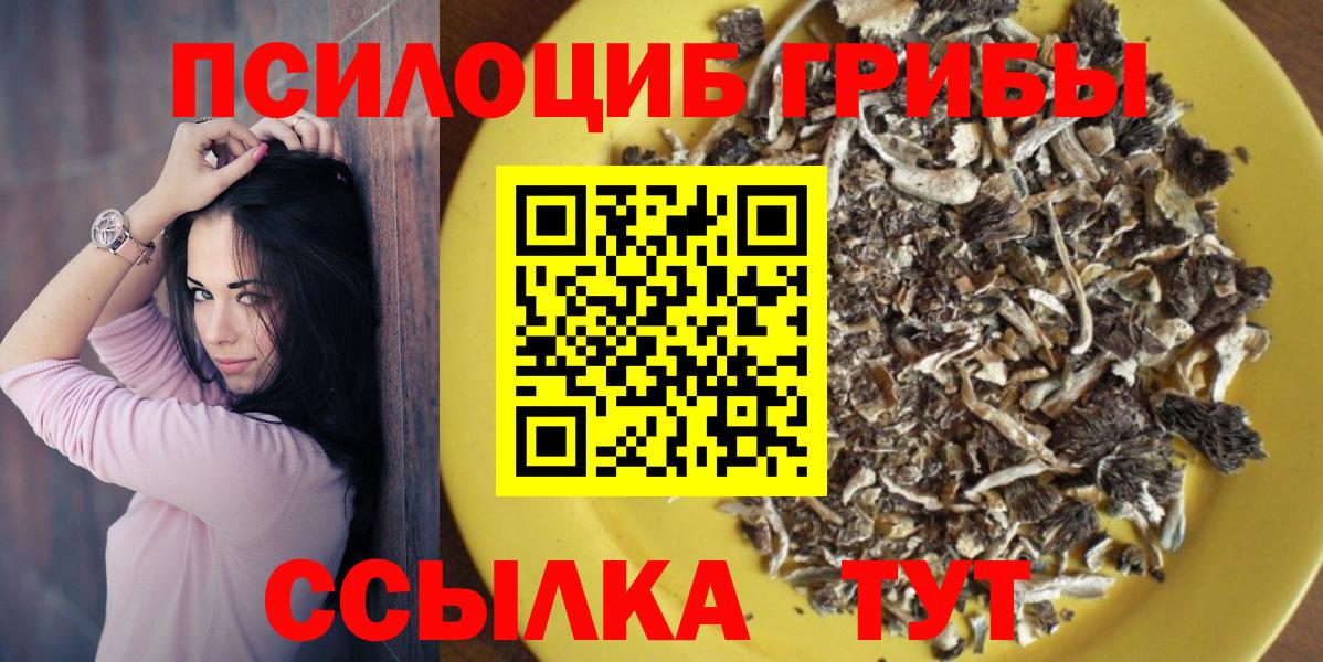 Псилоцибиновые грибы GOLDEN TEACHER Похвистнево
